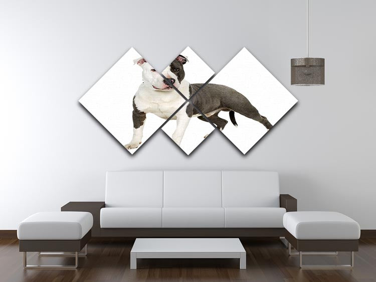 American Staffordshire terrier 4 Square Multi Panel Canvas - Canvas Art Rocks - 3