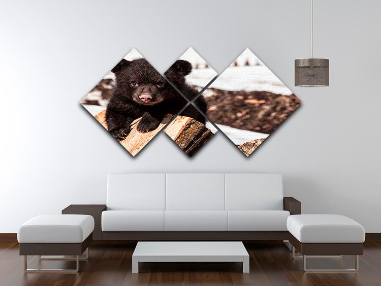 American black bear cub 4 Square Multi Panel Canvas - Canvas Art Rocks - 3
