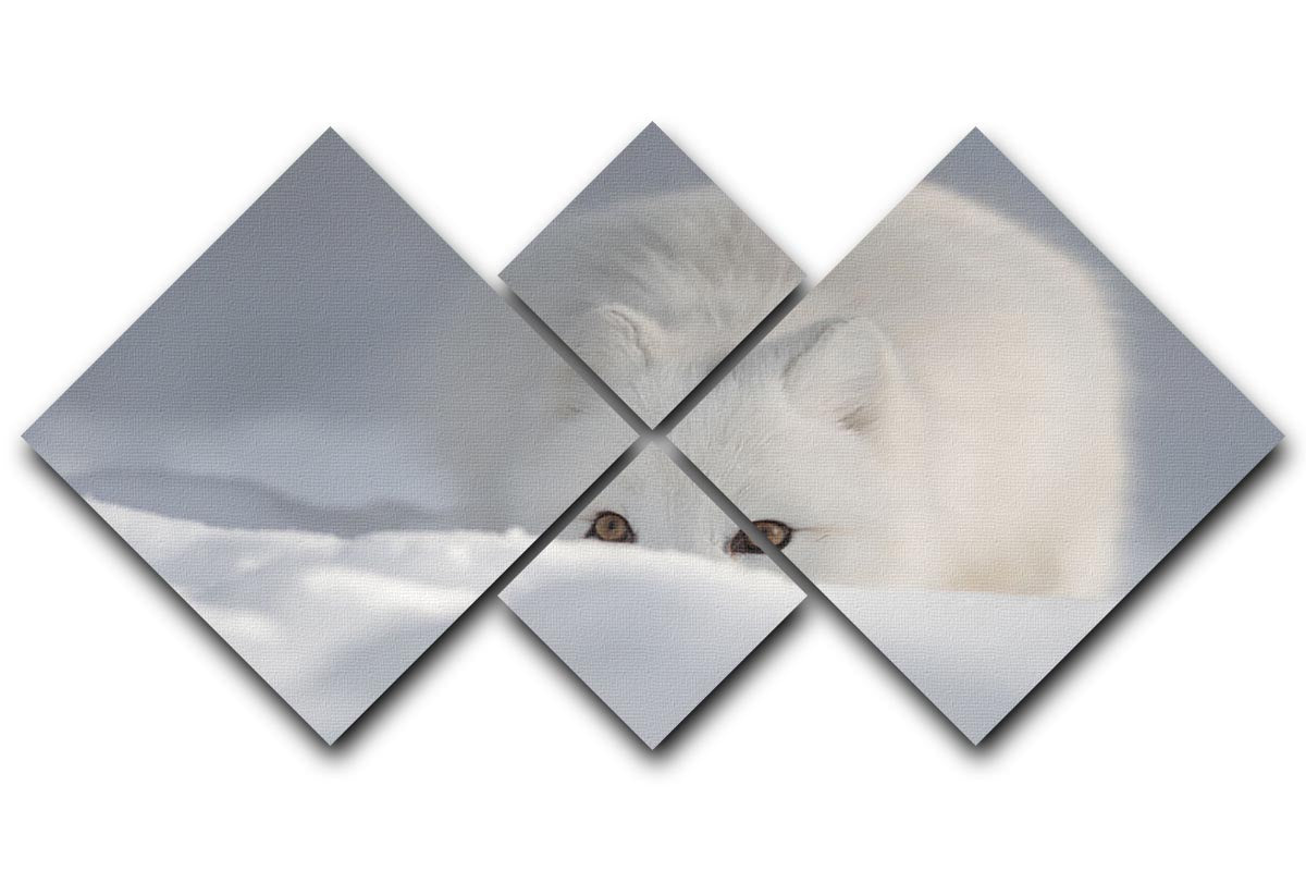 An Arctic Fox peering over a snow drift 4 Square Multi Panel Canvas - Canvas Art Rocks - 1
