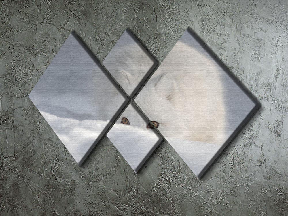 An Arctic Fox peering over a snow drift 4 Square Multi Panel Canvas - Canvas Art Rocks - 2