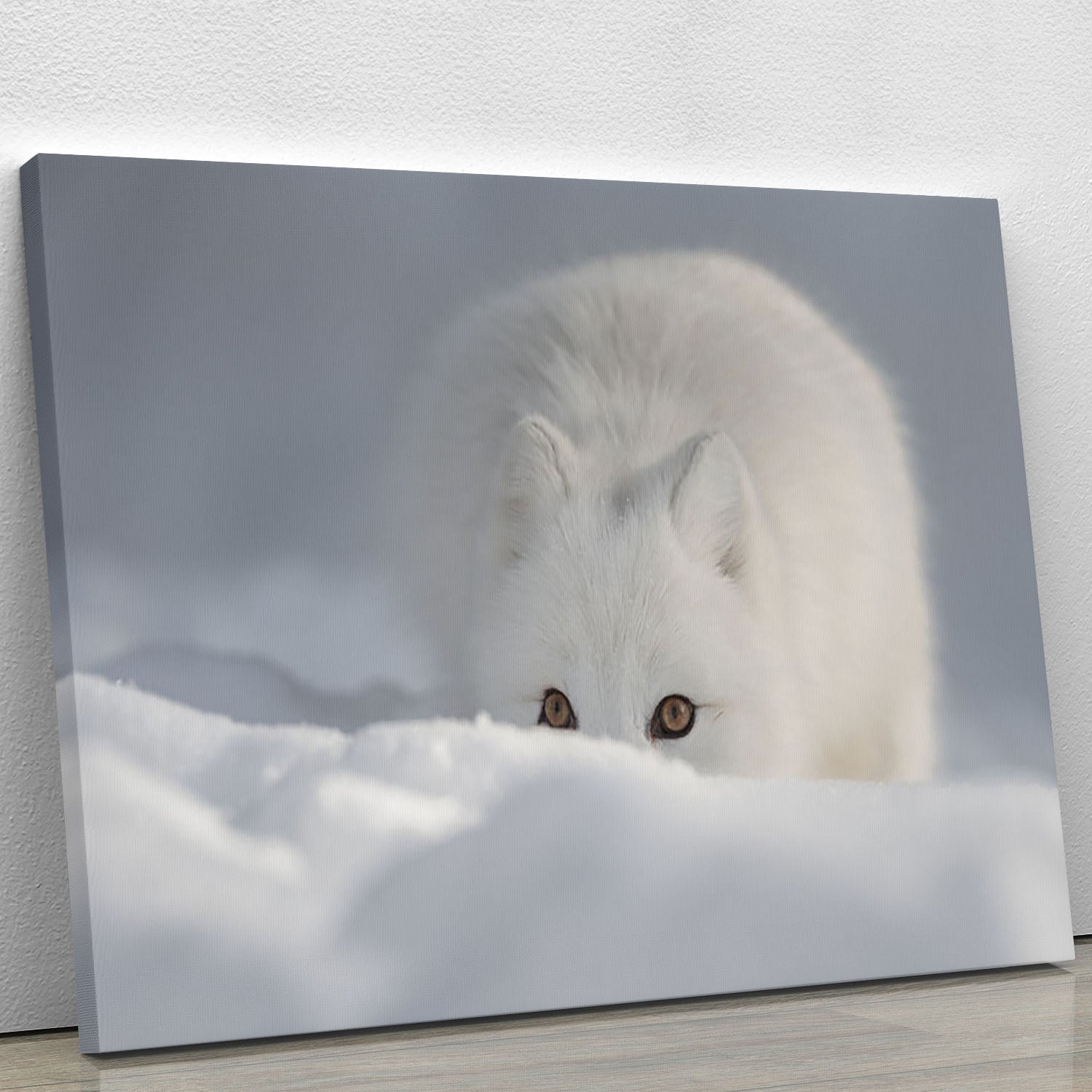 An Arctic Fox peering over a snow drift Canvas Print or Poster - Canvas Art Rocks - 1
