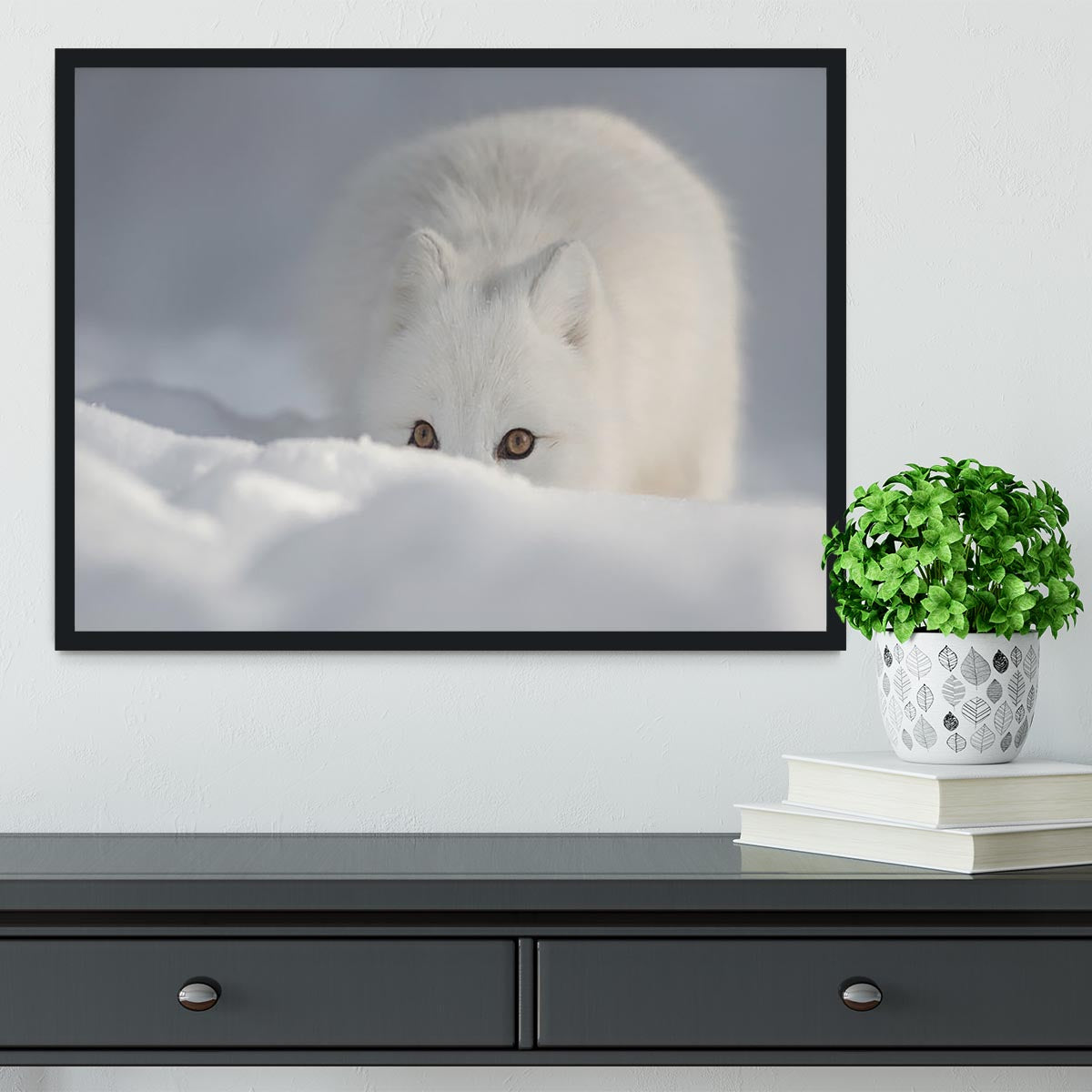 An Arctic Fox peering over a snow drift Framed Print - Canvas Art Rocks - 2
