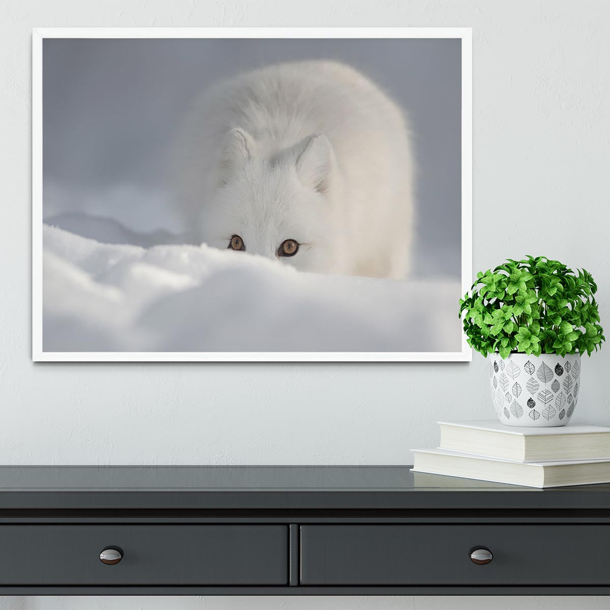 An Arctic Fox peering over a snow drift Framed Print - Canvas Art Rocks -6