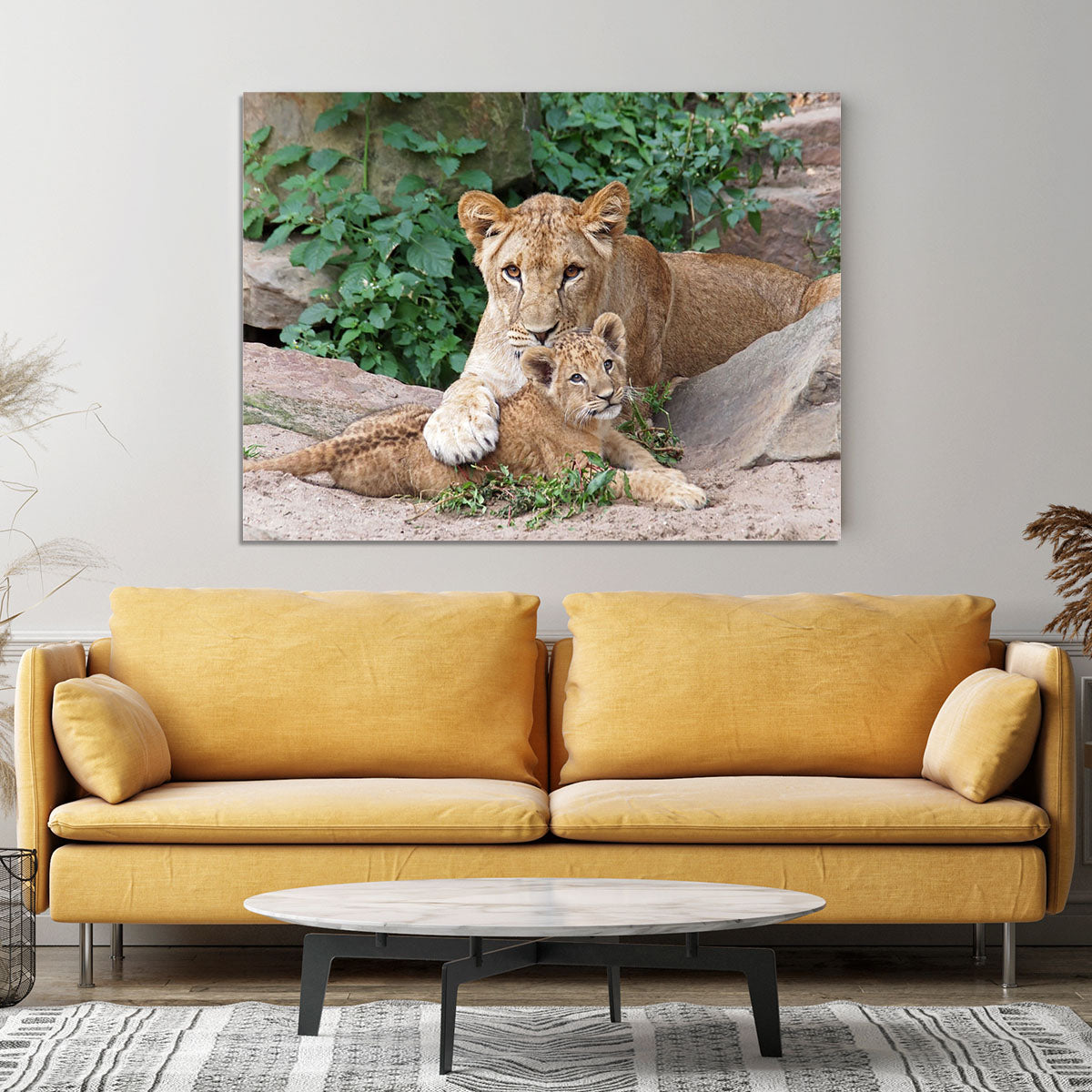 An older lioness is playing with her baby sister Canvas Print or Poster - Canvas Art Rocks - 4
