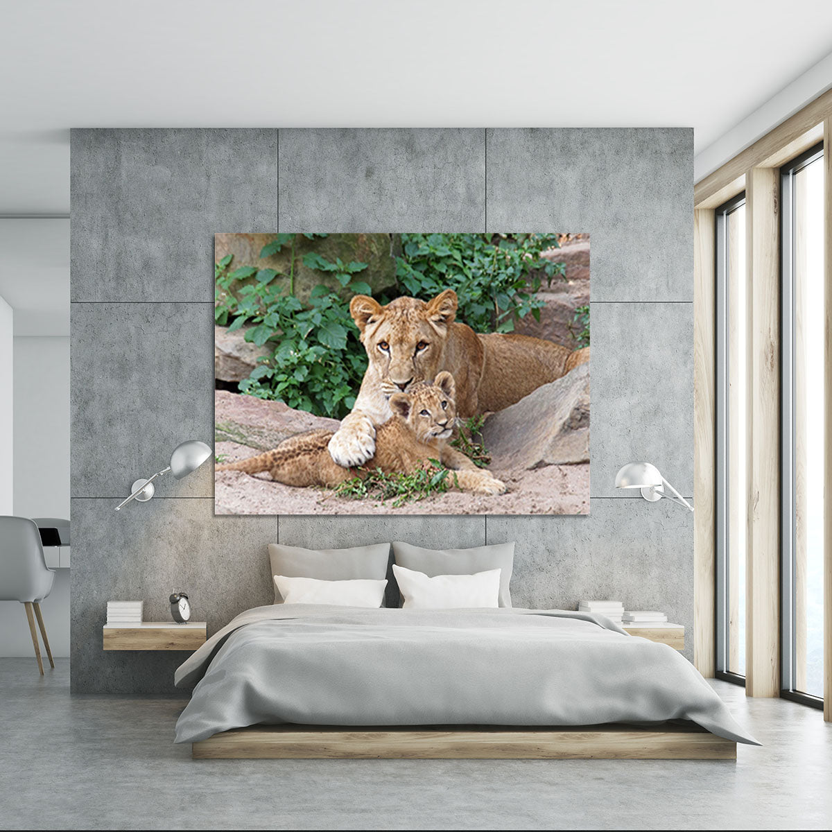 An older lioness is playing with her baby sister Canvas Print or Poster - Canvas Art Rocks - 5