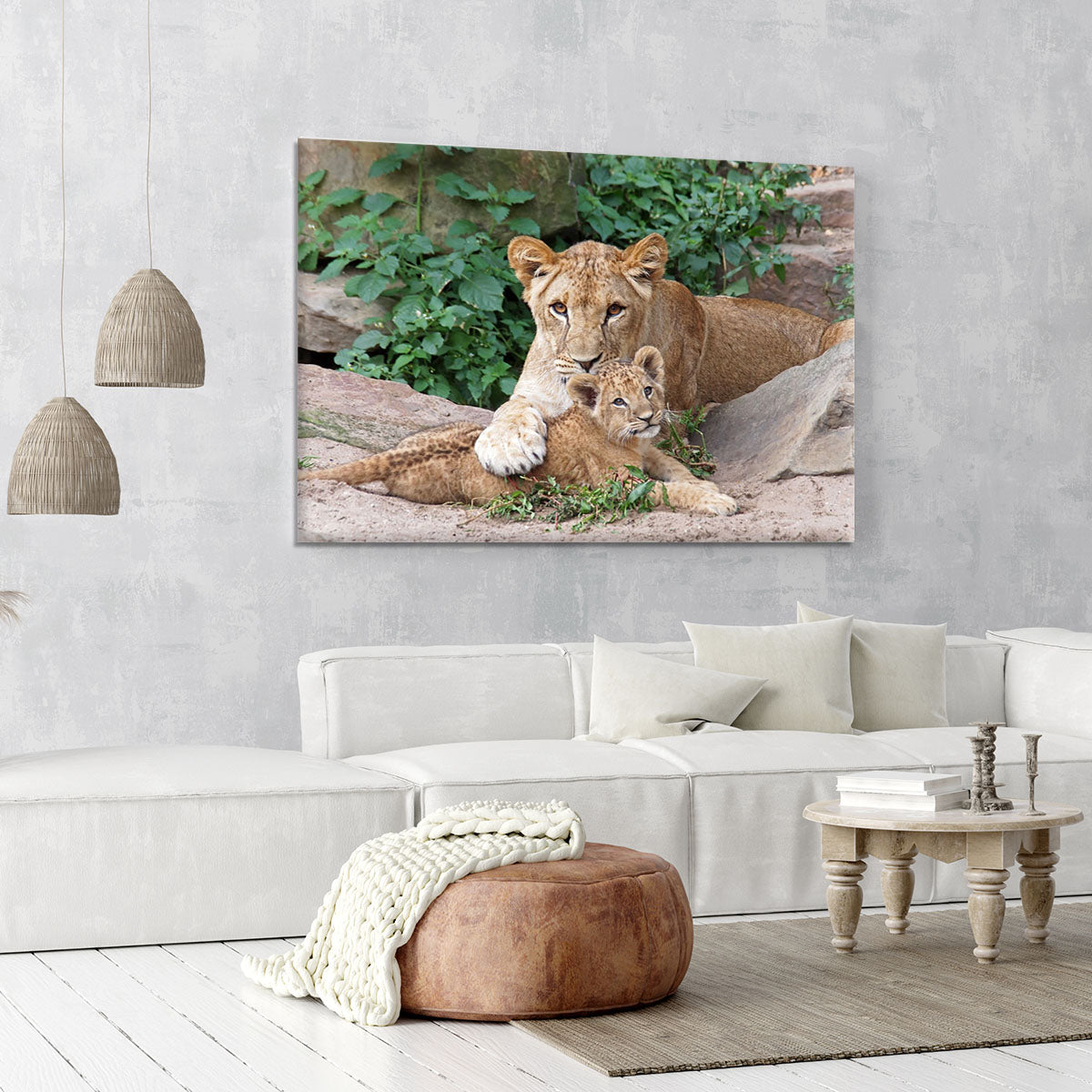 An older lioness is playing with her baby sister Canvas Print or Poster - Canvas Art Rocks - 6