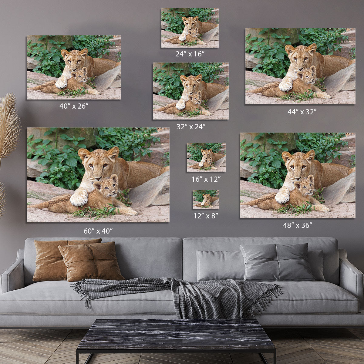 An older lioness is playing with her baby sister Canvas Print or Poster - Canvas Art Rocks - 7
