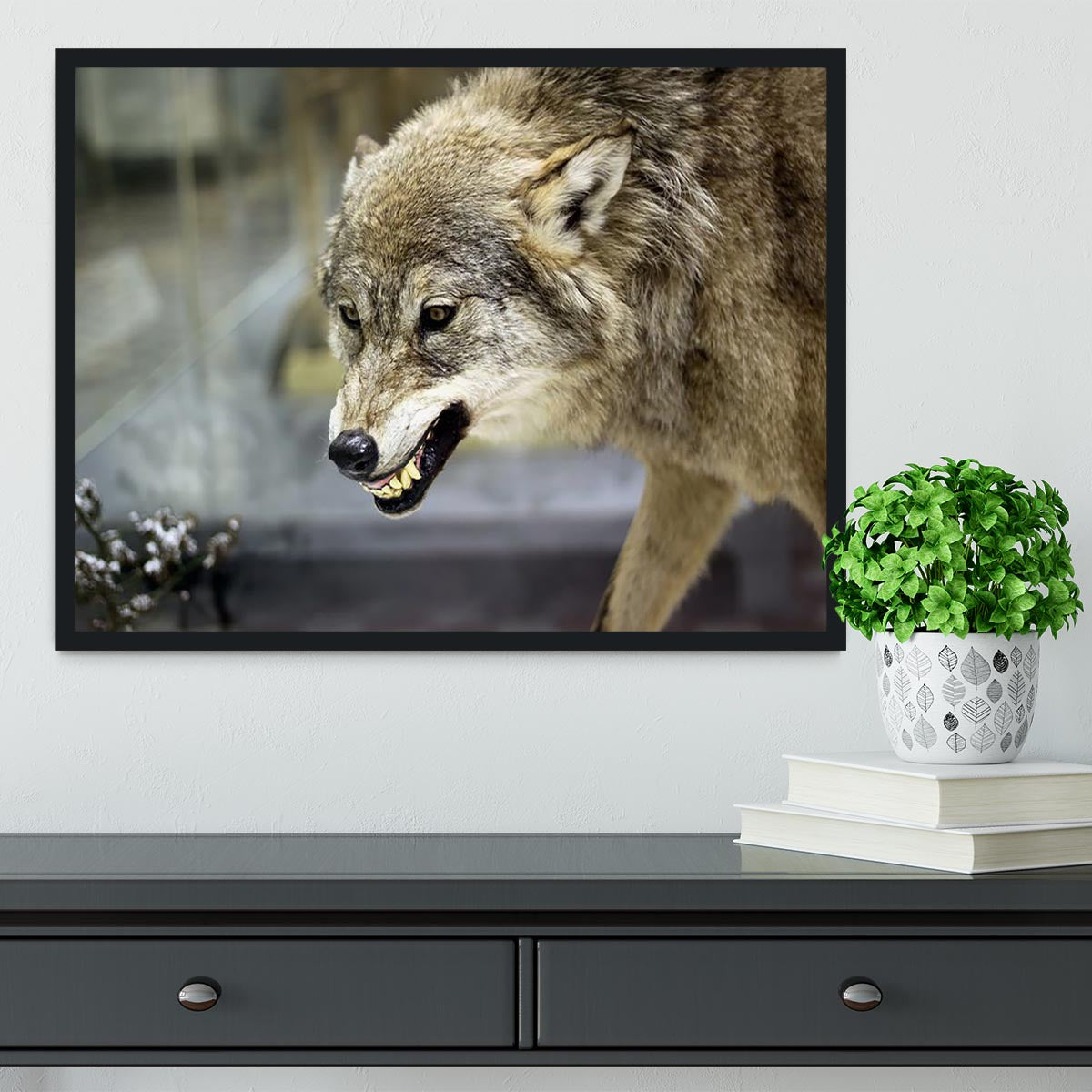 Angry grey wolf in winter forest Framed Print - Canvas Art Rocks - 2