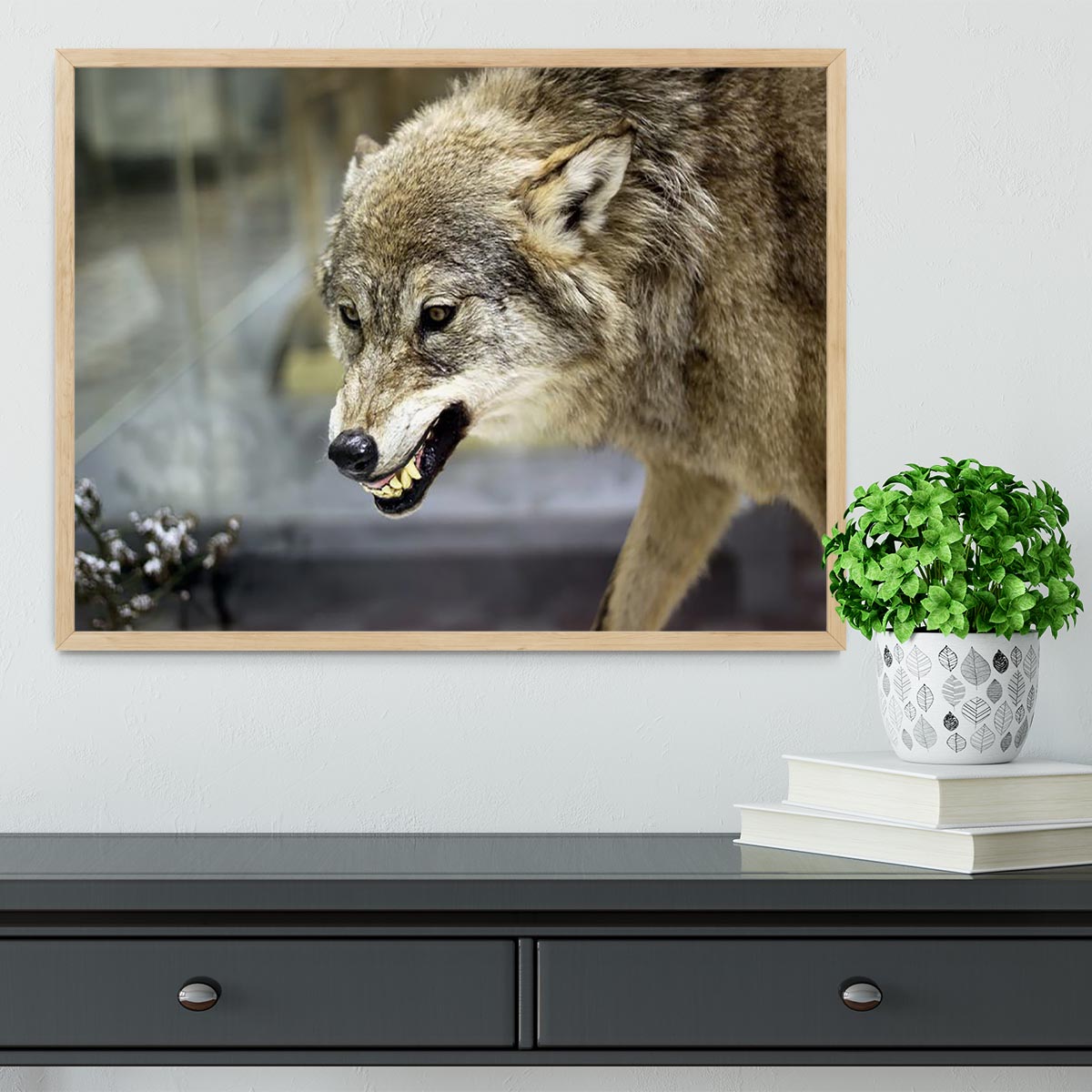 Angry grey wolf in winter forest Framed Print - Canvas Art Rocks - 4
