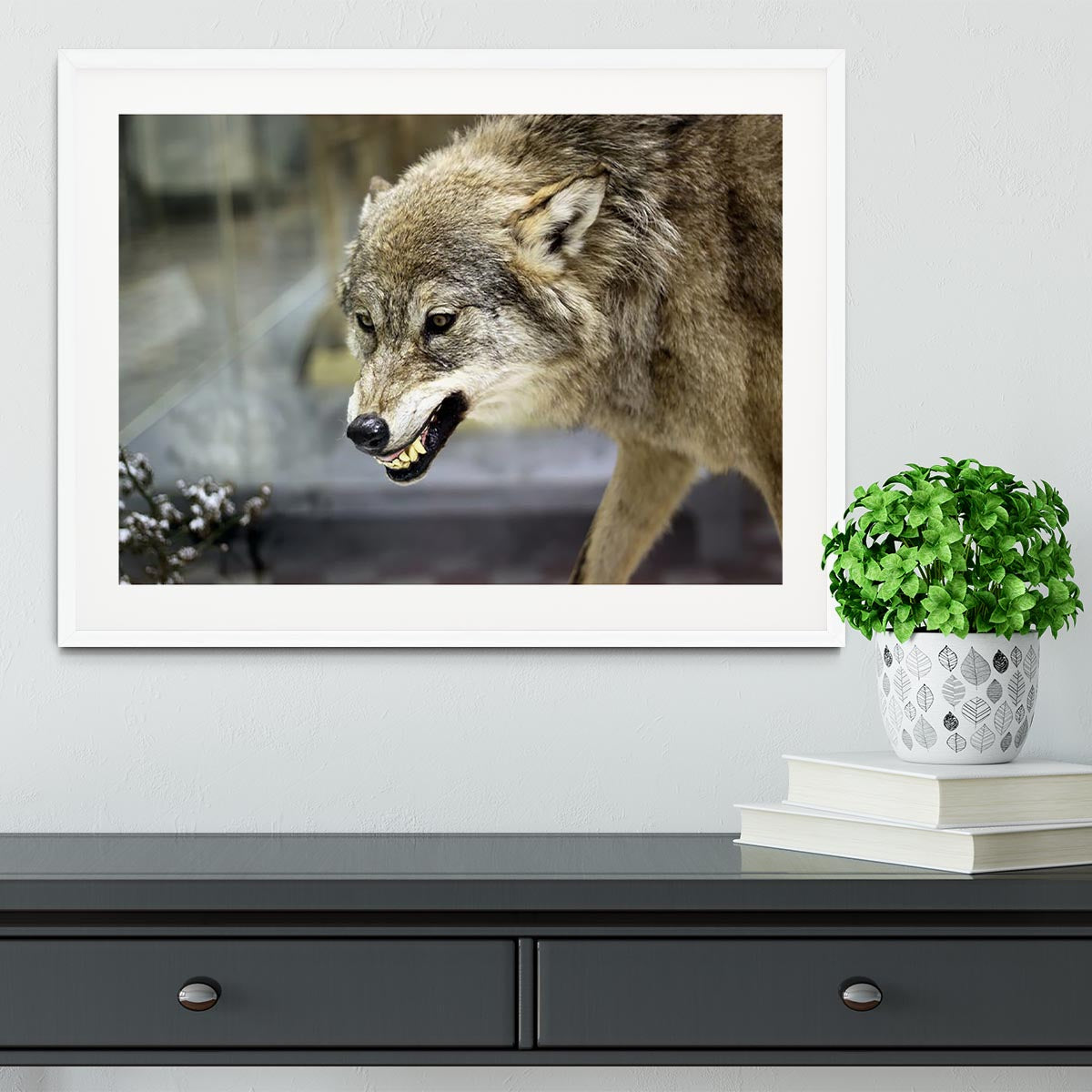 Angry grey wolf in winter forest Framed Print - Canvas Art Rocks - 5