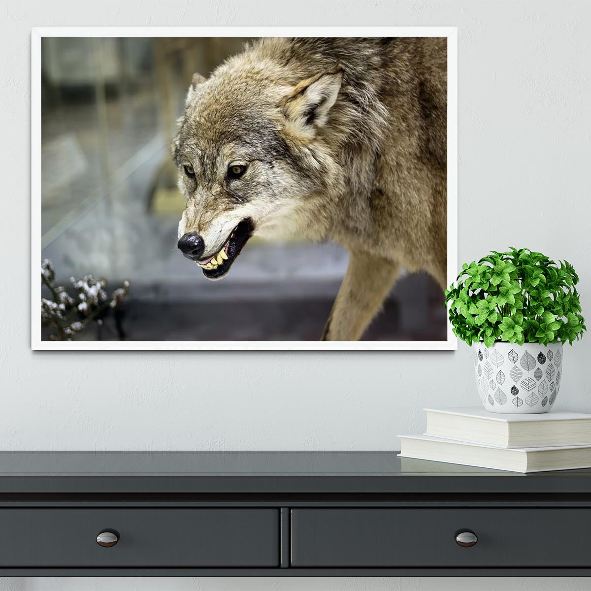 Angry grey wolf in winter forest Framed Print - Canvas Art Rocks -6
