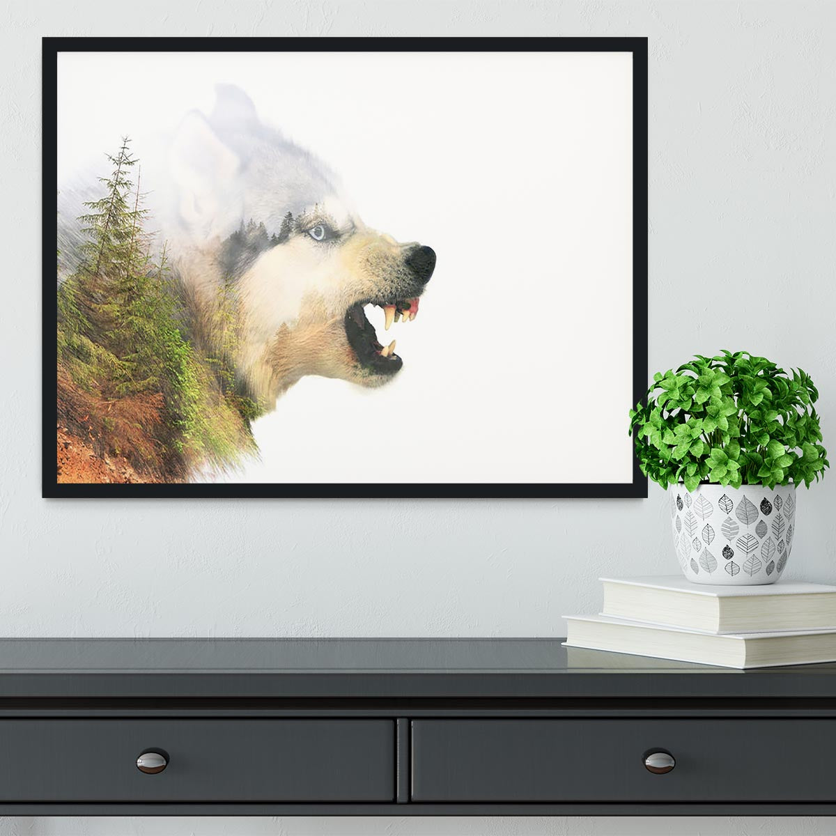 Angry siberian husky dog Framed Print - Canvas Art Rocks - 2