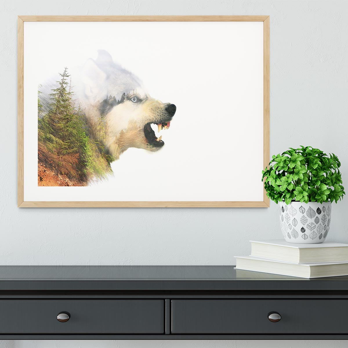 Angry siberian husky dog Framed Print - Canvas Art Rocks - 3