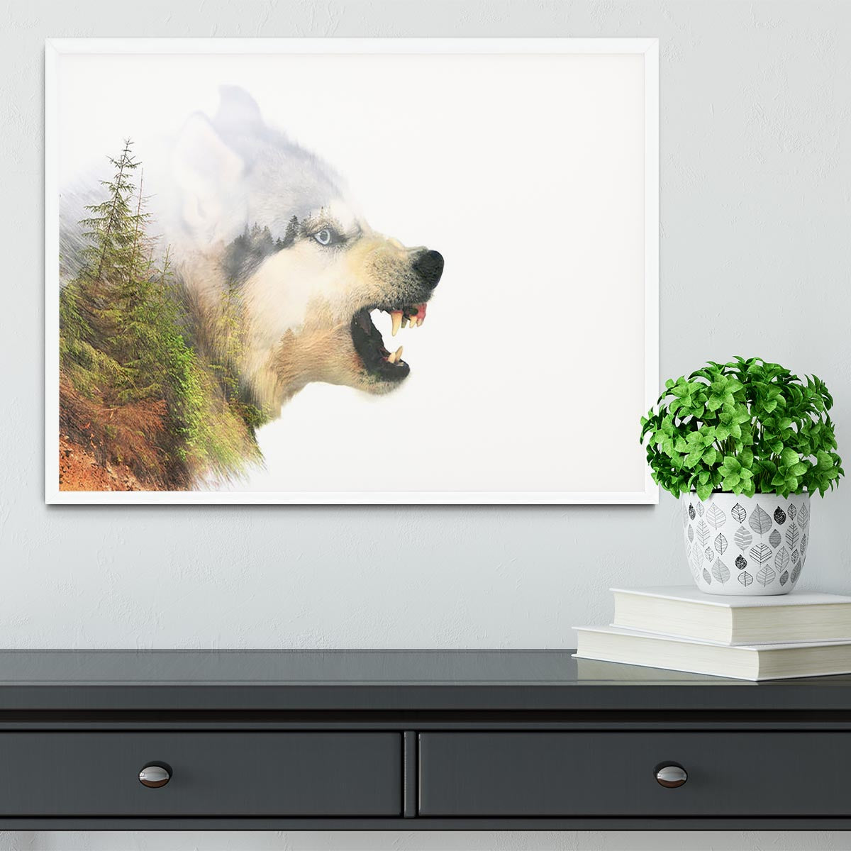 Angry siberian husky dog Framed Print - Canvas Art Rocks -6