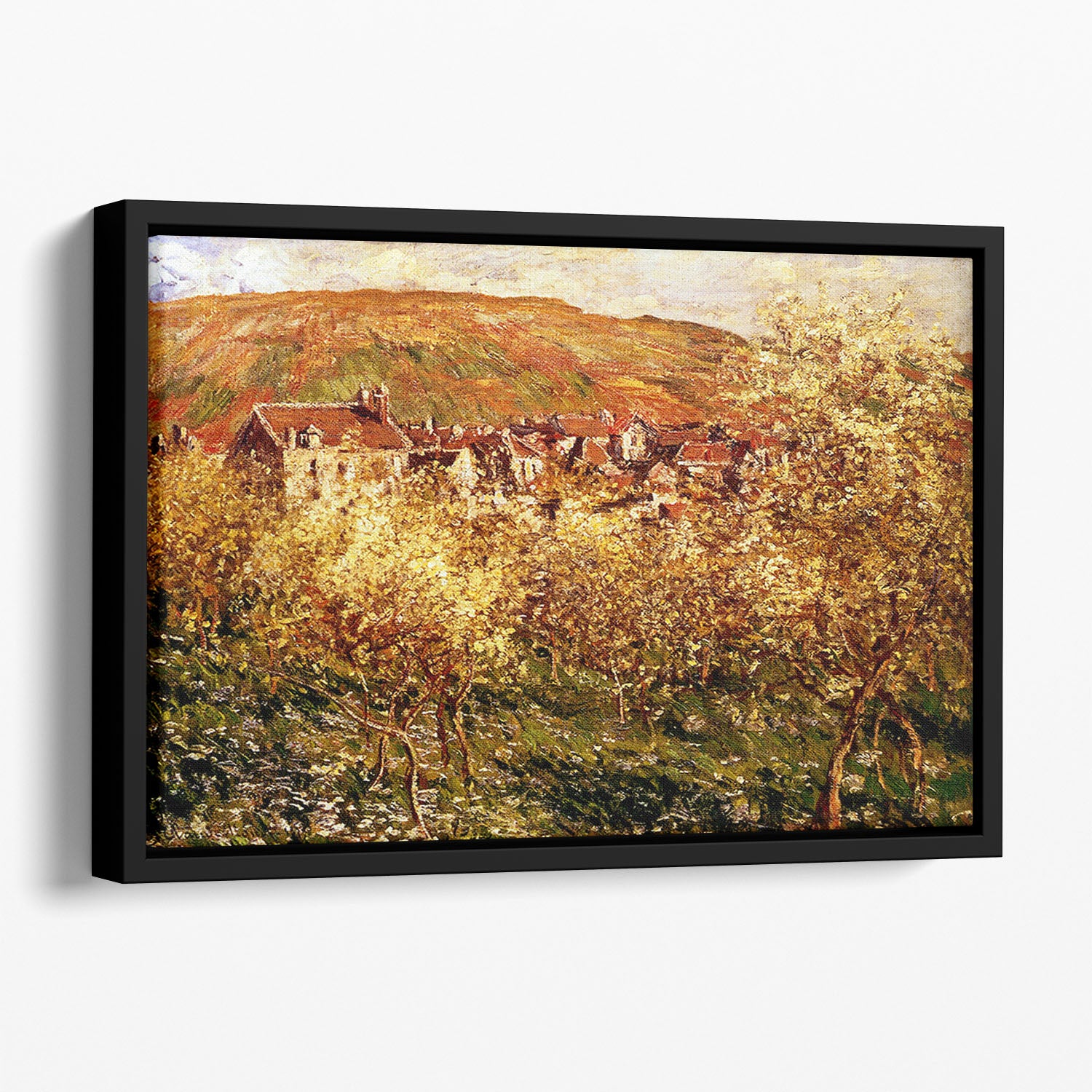Apple Trees In Blossom by Monet Floating Framed Canvas