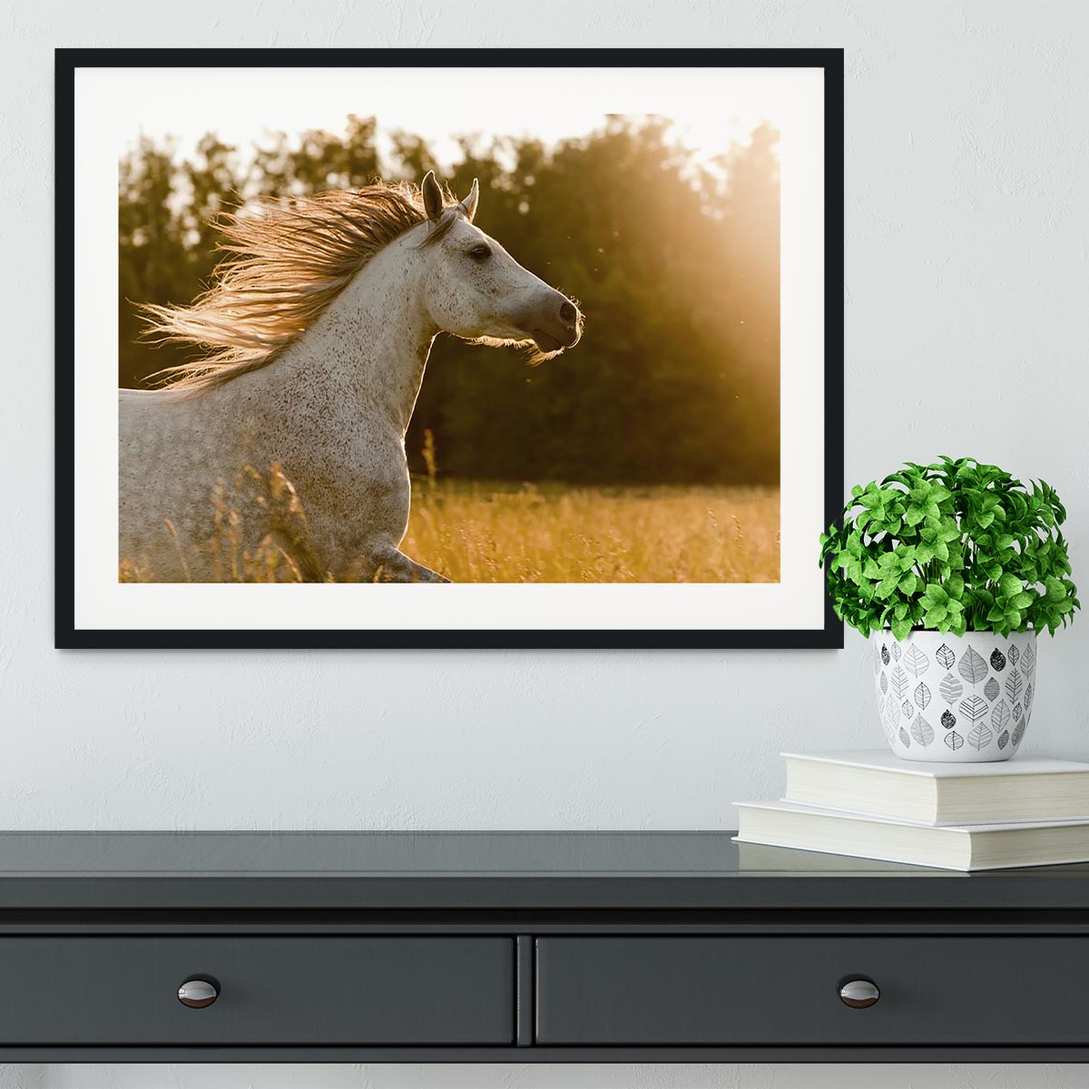 Arab horse in sunset Framed Print - Canvas Art Rocks - 1