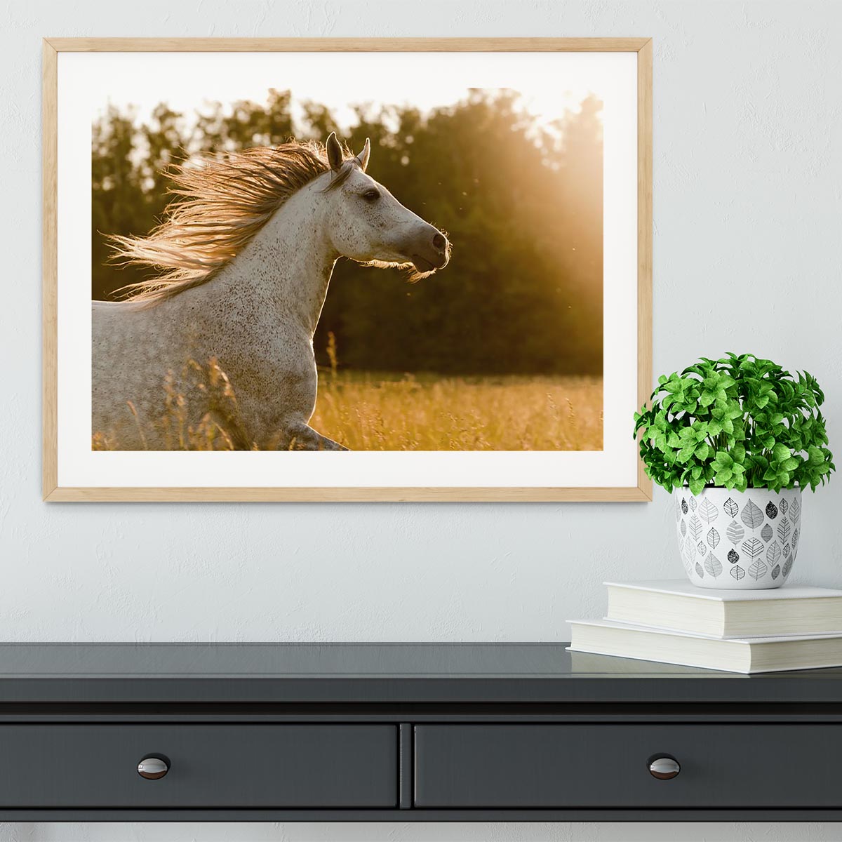 Arab horse in sunset Framed Print - Canvas Art Rocks - 3
