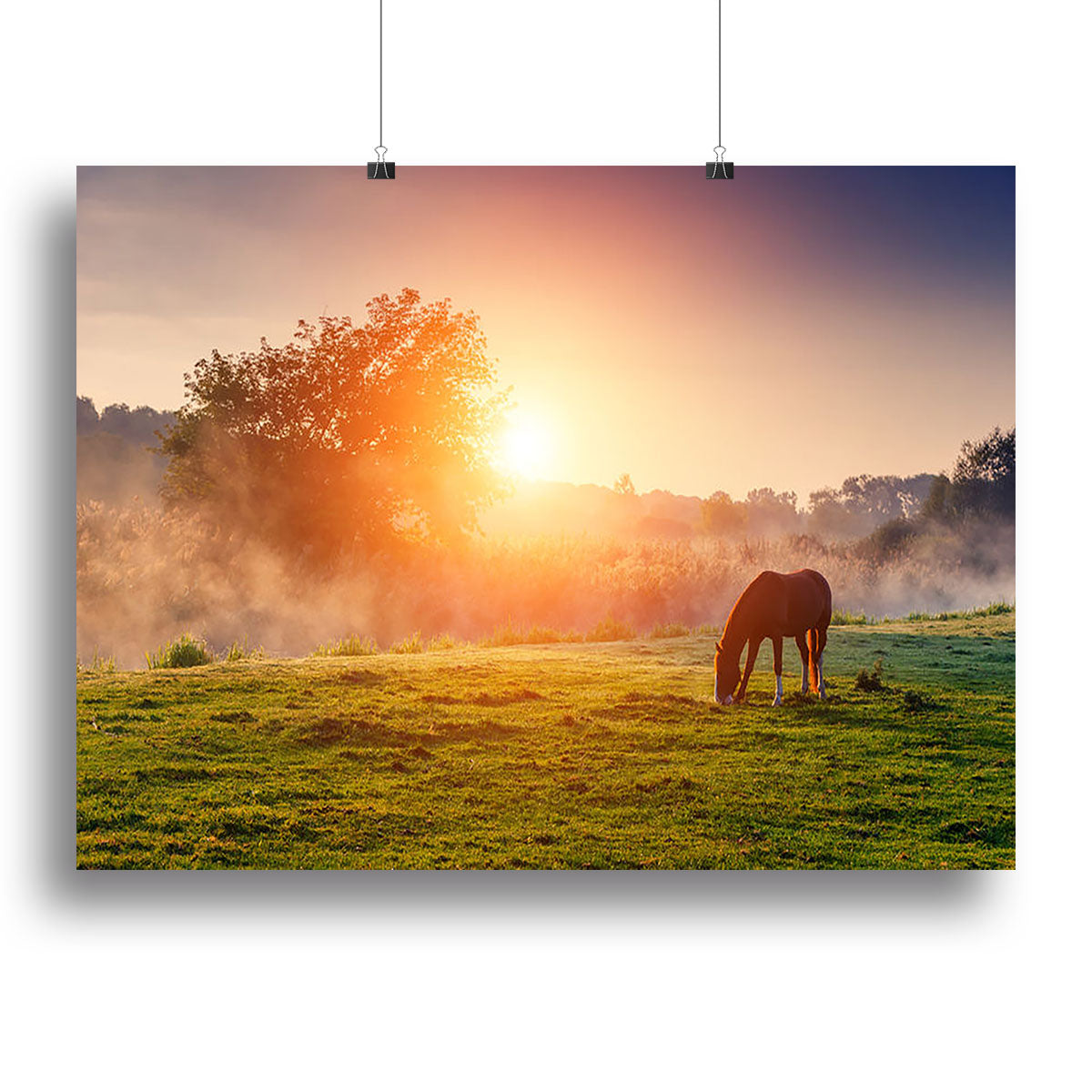 Arabian horses grazing on pasture at sundown in orange sunny beams Canvas Print or Poster - Canvas Art Rocks - 2
