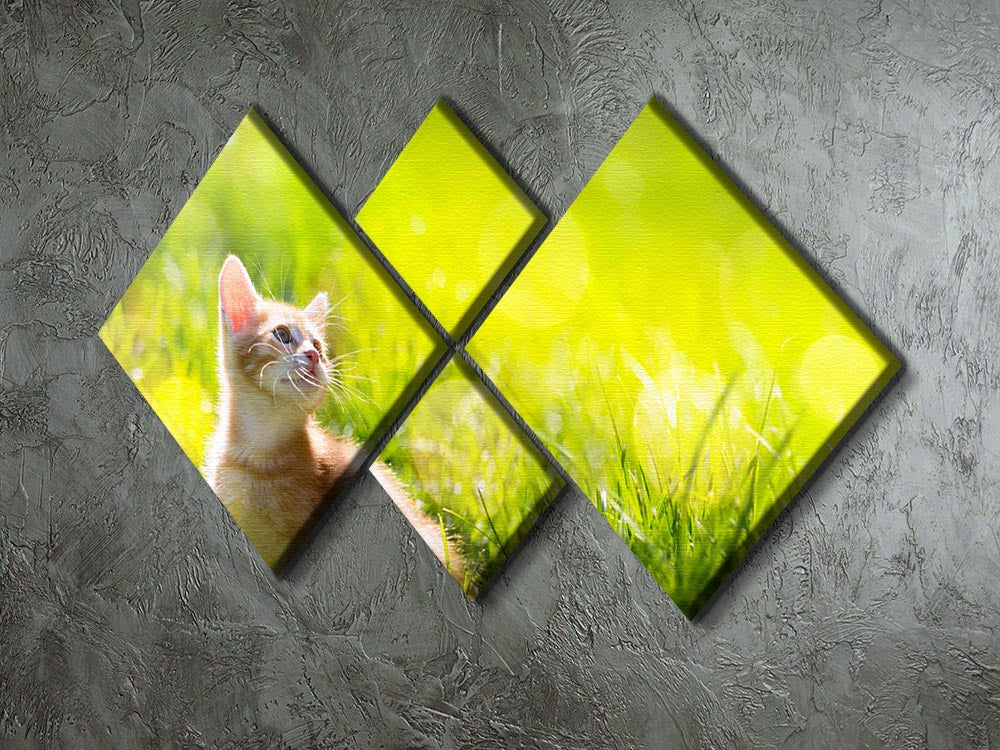 Art little ginger kitten outdoors 4 Square Multi Panel Canvas - Canvas Art Rocks - 2