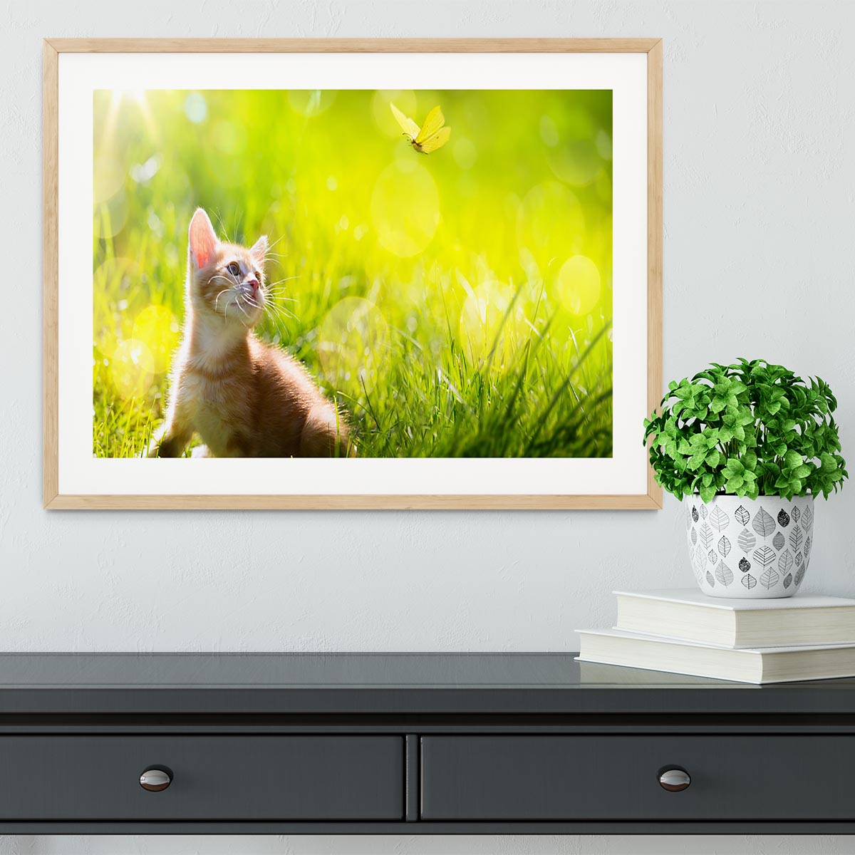 Art little ginger kitten outdoors Framed Print - Canvas Art Rocks - 3