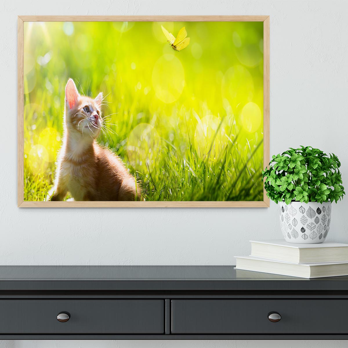 Art little ginger kitten outdoors Framed Print - Canvas Art Rocks - 4