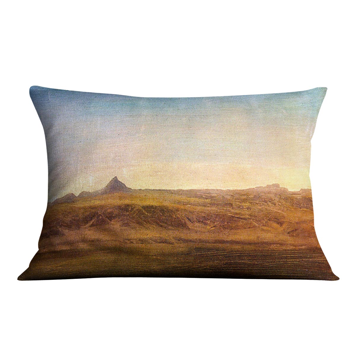 At the Level by Bierstadt Cushion - Canvas Art Rocks - 4