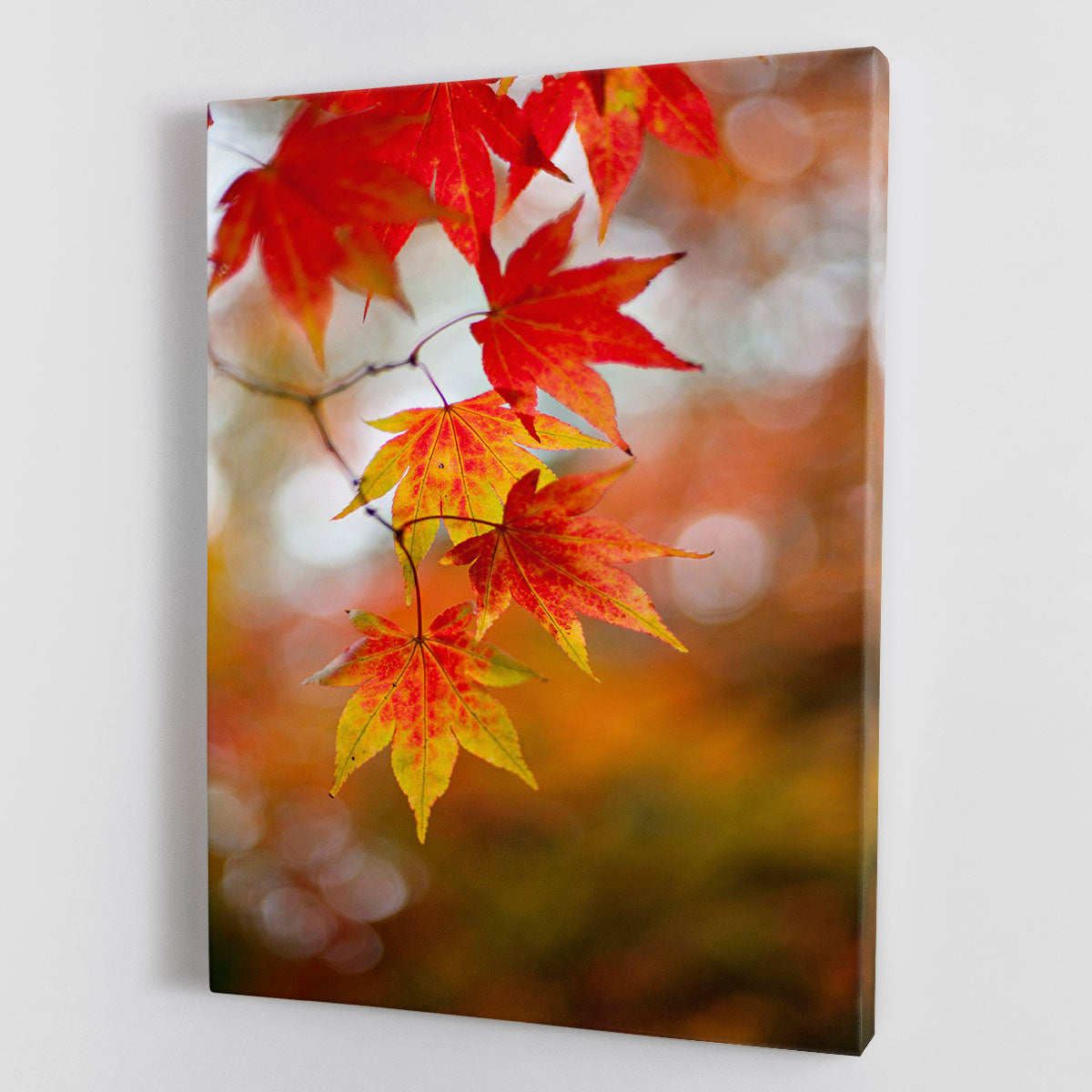 Autumn Colours Canvas Print or Poster - Canvas Art Rocks - 1