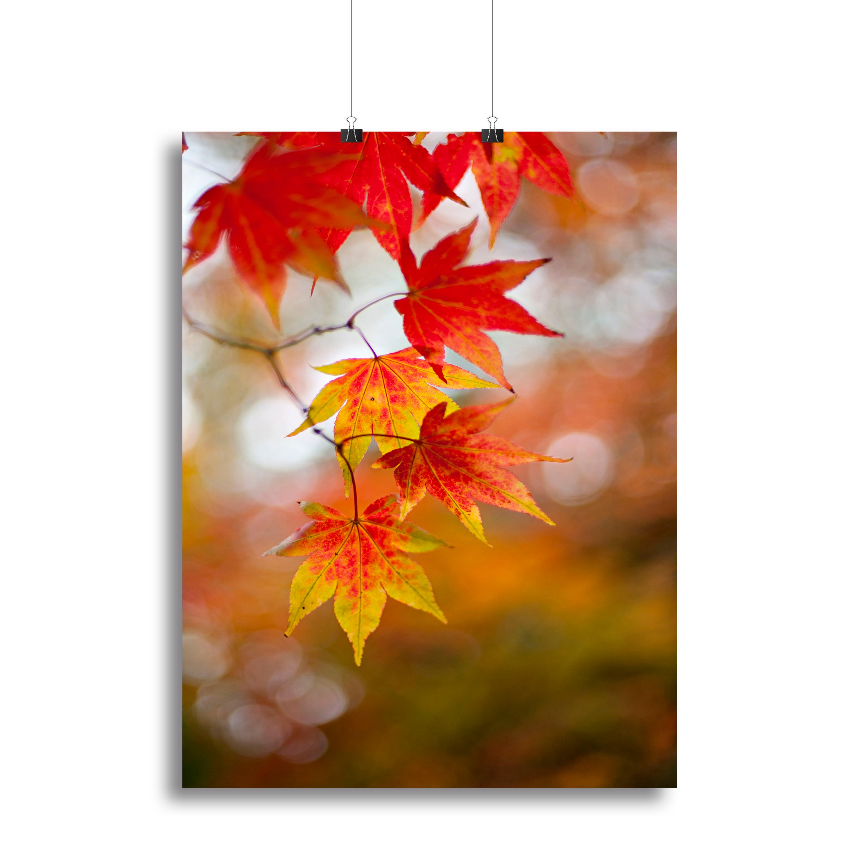 Autumn Colours Canvas Print or Poster - Canvas Art Rocks - 2