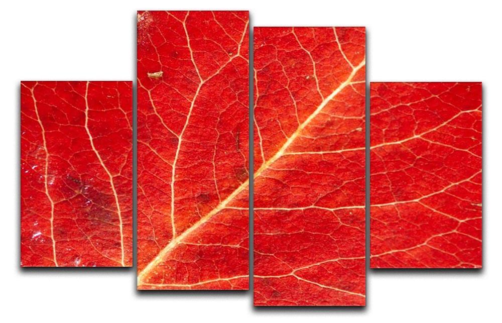 Autumn leaf 4 Split Panel Canvas  - Canvas Art Rocks - 1