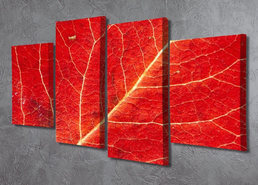 Autumn leaf 4 Split Panel Canvas  - Canvas Art Rocks - 2