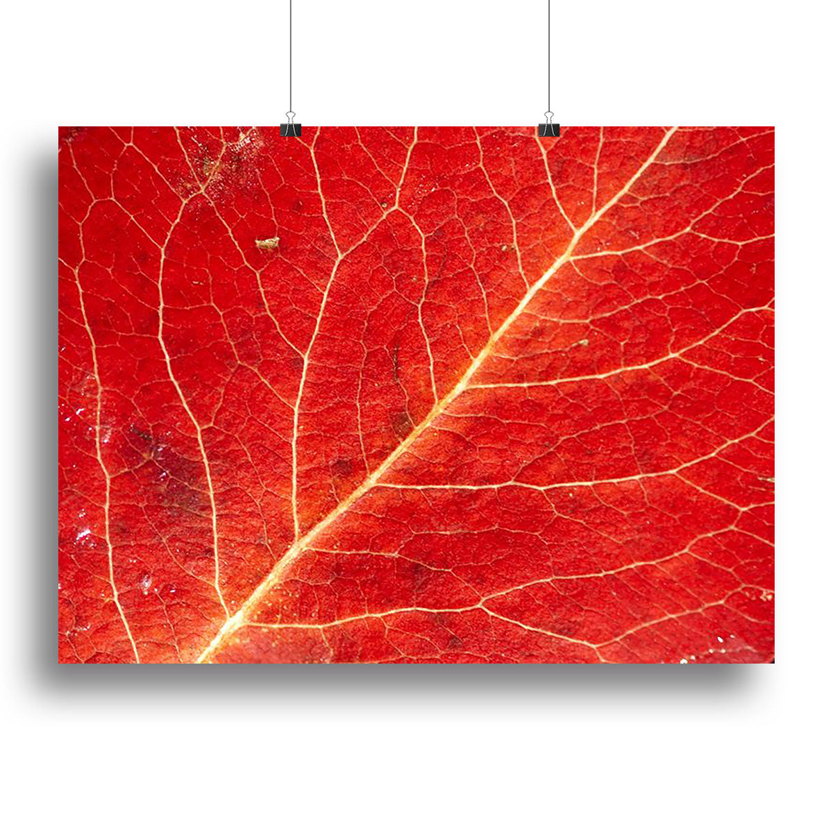 Autumn leaf Canvas Print or Poster - Canvas Art Rocks - 2