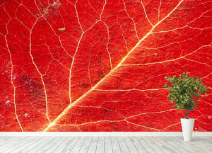 Autumn leaf Wall Mural Wallpaper - Canvas Art Rocks - 4