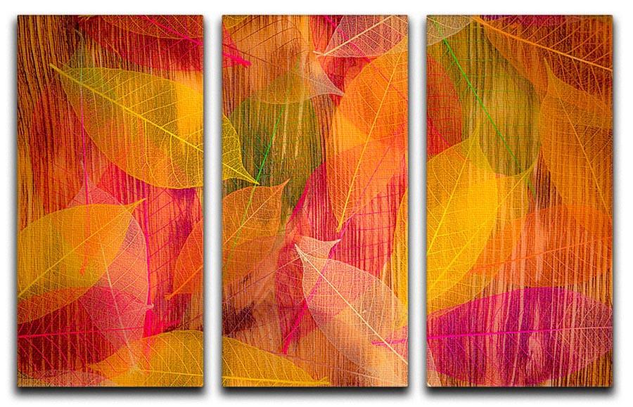 Autumn leaves texture 3 Split Panel Canvas Print - Canvas Art Rocks - 1