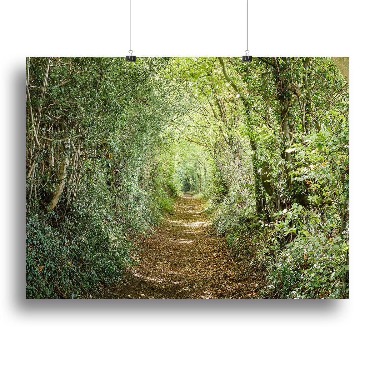 Avenue of trees Canvas Print or Poster - Canvas Art Rocks - 2