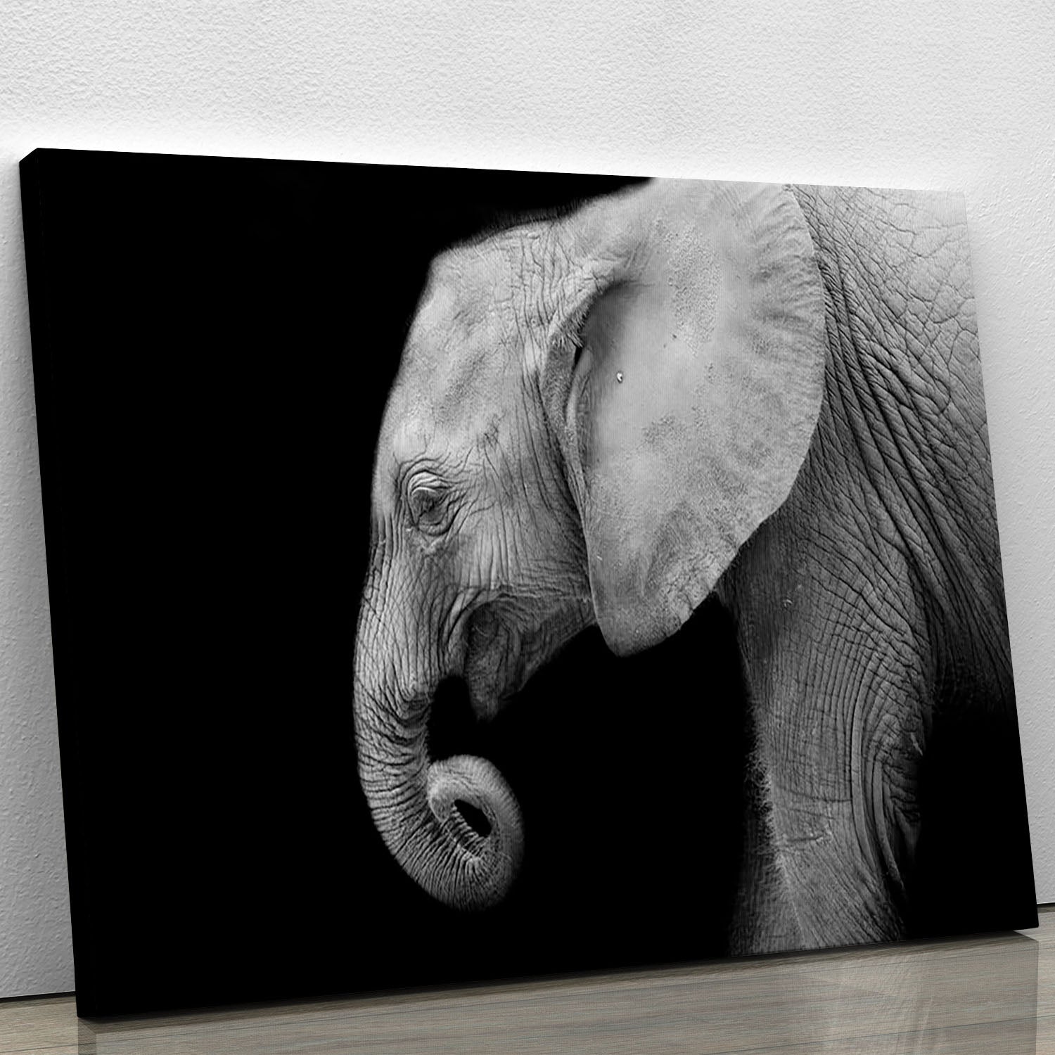 Baby elephant Canvas Print or Poster - Canvas Art Rocks - 1