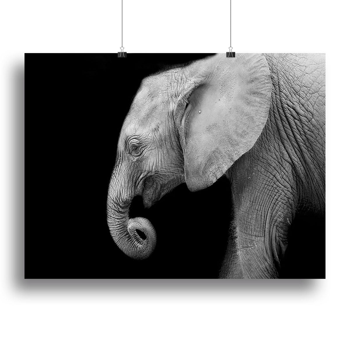 Baby elephant Canvas Print or Poster - Canvas Art Rocks - 2