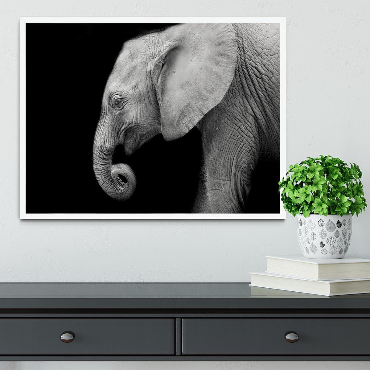 Baby elephant Framed Print - Canvas Art Rocks -6