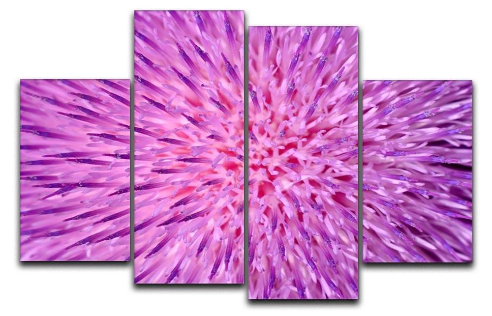 Background of thistle flower 4 Split Panel Canvas  - Canvas Art Rocks - 1