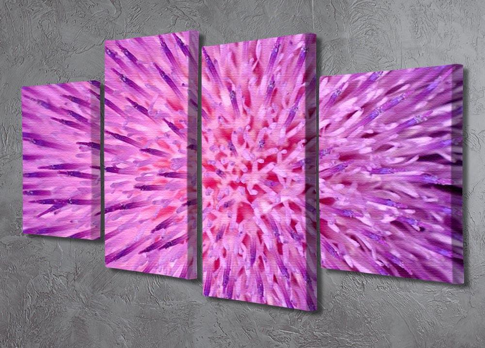 Background of thistle flower 4 Split Panel Canvas  - Canvas Art Rocks - 2