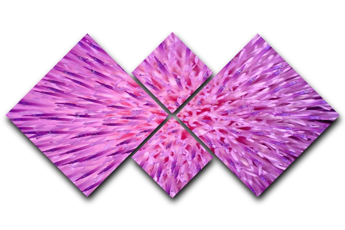 Background of thistle flower 4 Square Multi Panel Canvas  - Canvas Art Rocks - 1