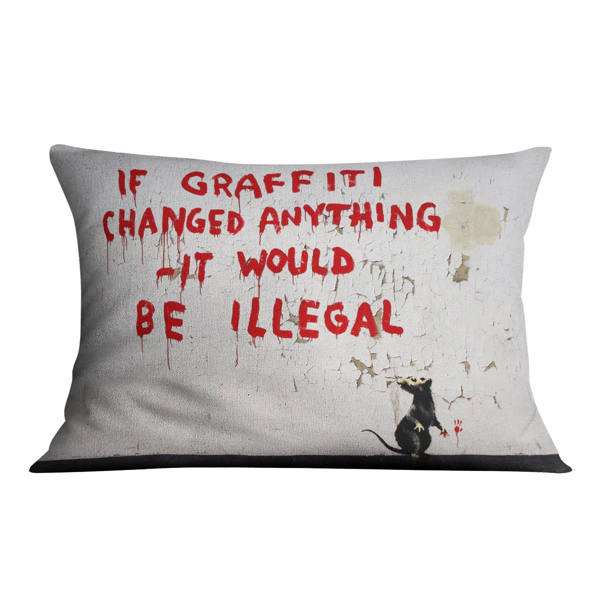 Banksy If Graffiti Changed Anything Cushion