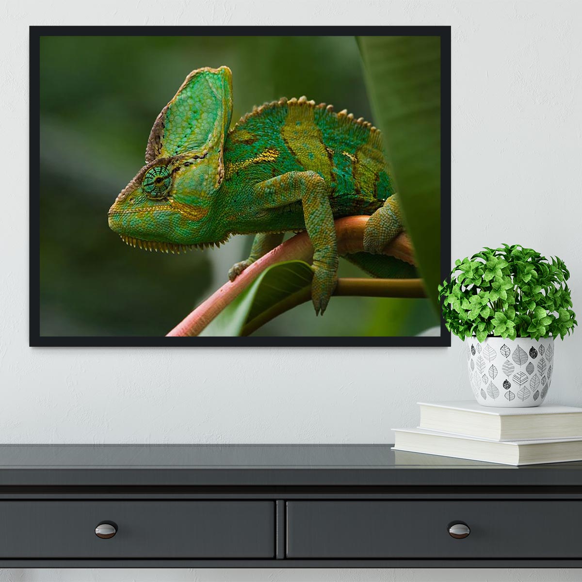 Beaitiful green Jemen chameleon Framed Print - Canvas Art Rocks - 2