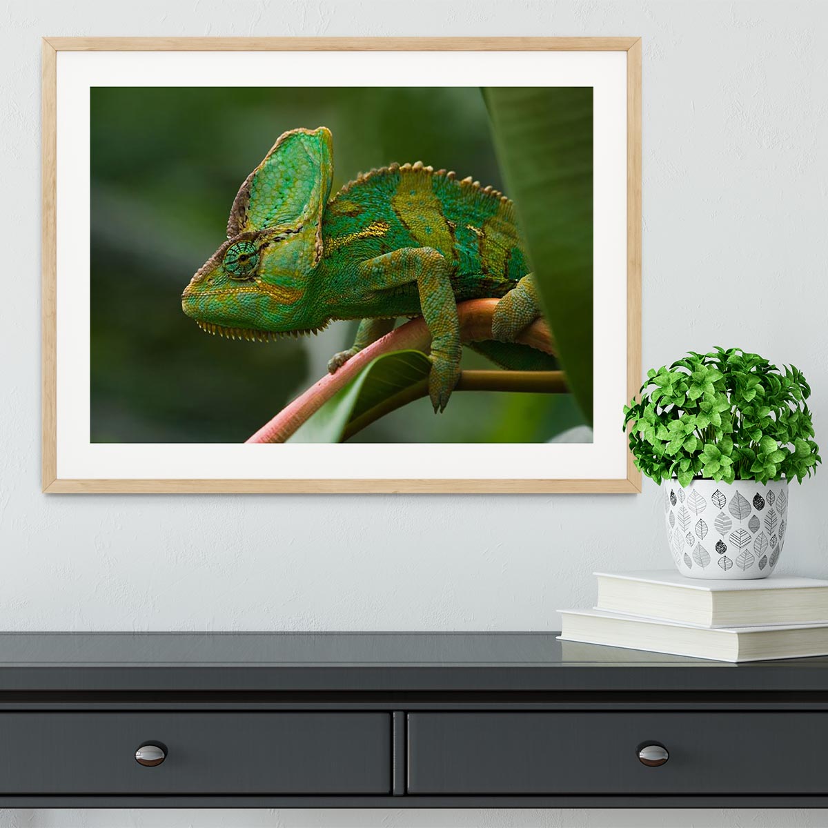 Beaitiful green Jemen chameleon Framed Print - Canvas Art Rocks - 3