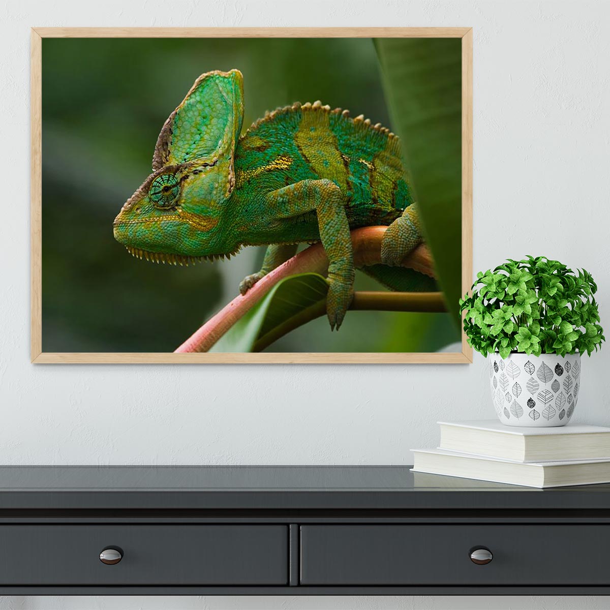 Beaitiful green Jemen chameleon Framed Print - Canvas Art Rocks - 4