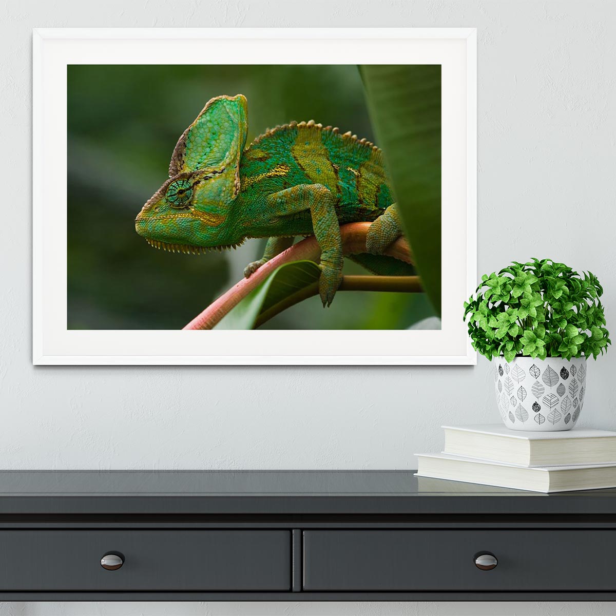 Beaitiful green Jemen chameleon Framed Print - Canvas Art Rocks - 5