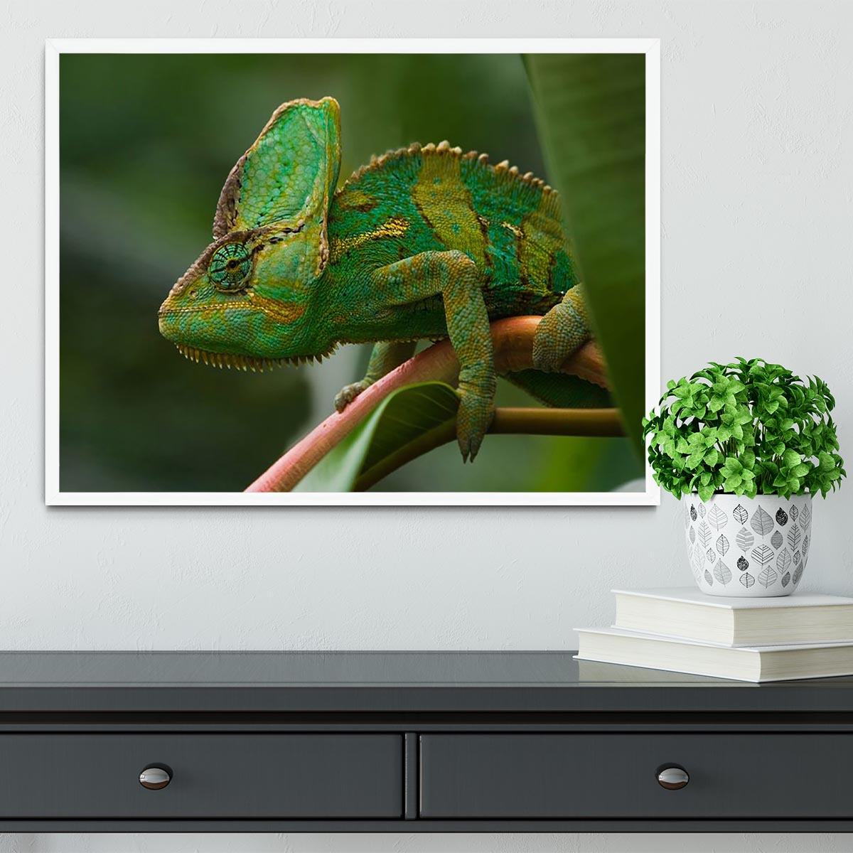 Beaitiful green Jemen chameleon Framed Print - Canvas Art Rocks -6