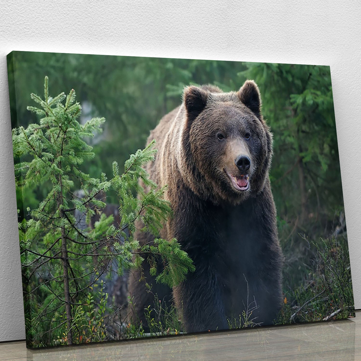 Bear in forest Canvas Print or Poster - Canvas Art Rocks - 1