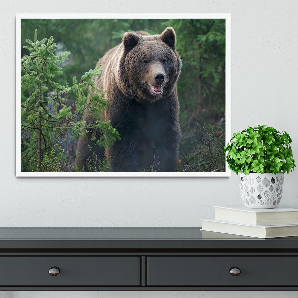 Bear in forest Framed Print - Canvas Art Rocks -6
