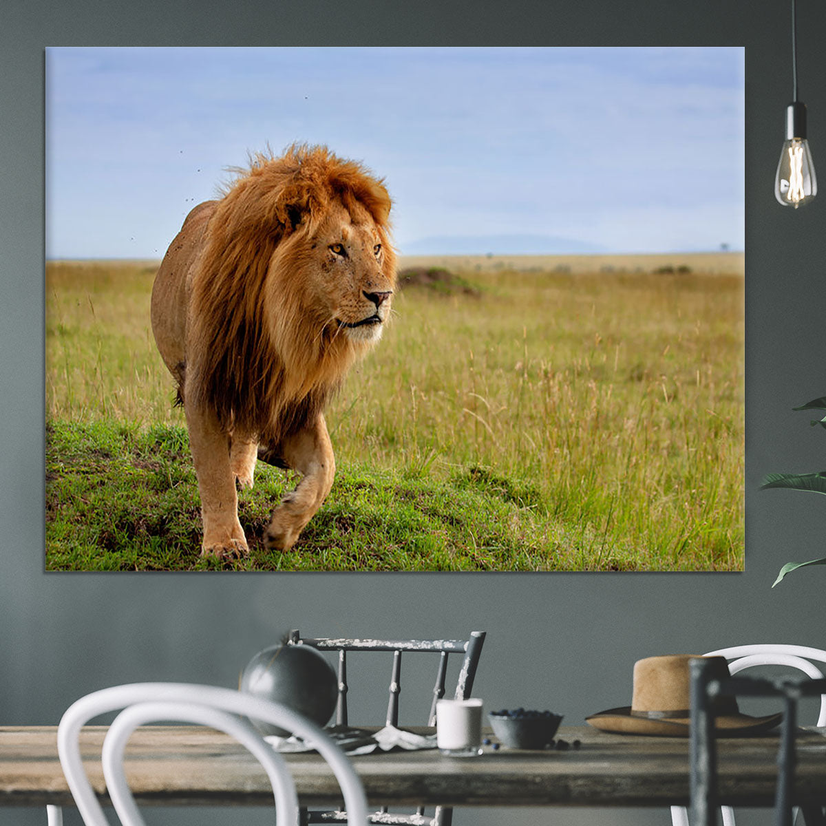 Beautiful Lion Long in Masai Mara Canvas Print or Poster - Canvas Art Rocks - 3