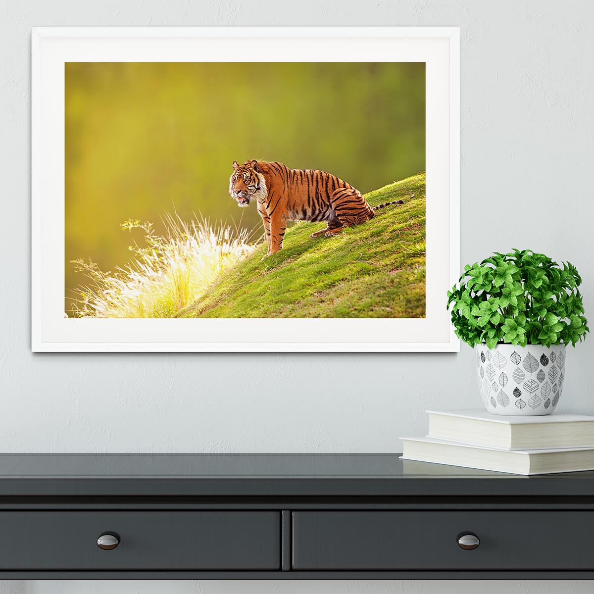 Beautiful Sumatran Tiger Framed Print - Canvas Art Rocks - 5